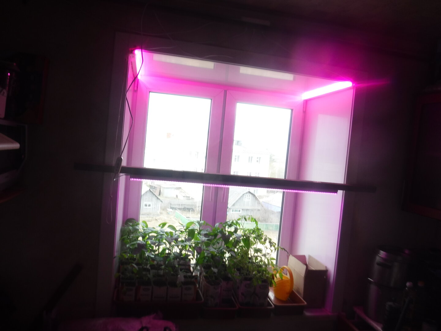 DSCF3081.JPG