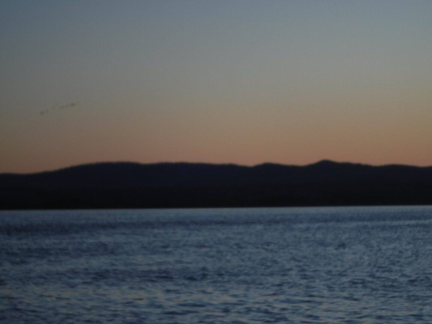 DSCF3093.JPG