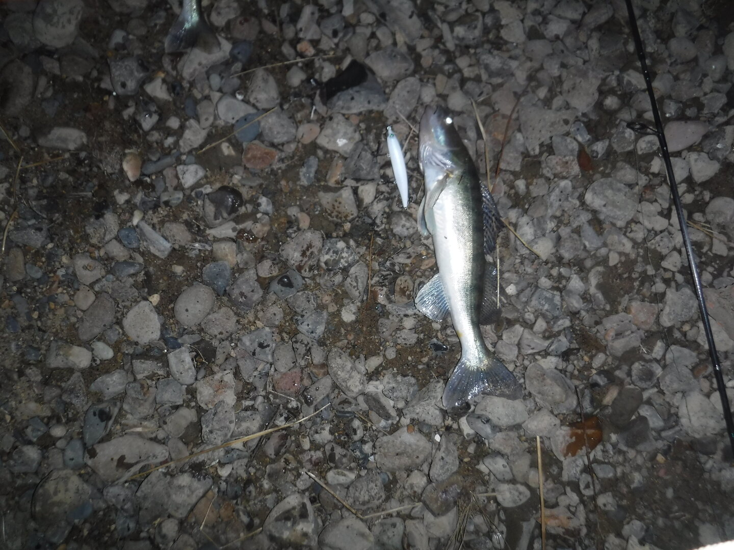 DSCF3096.JPG