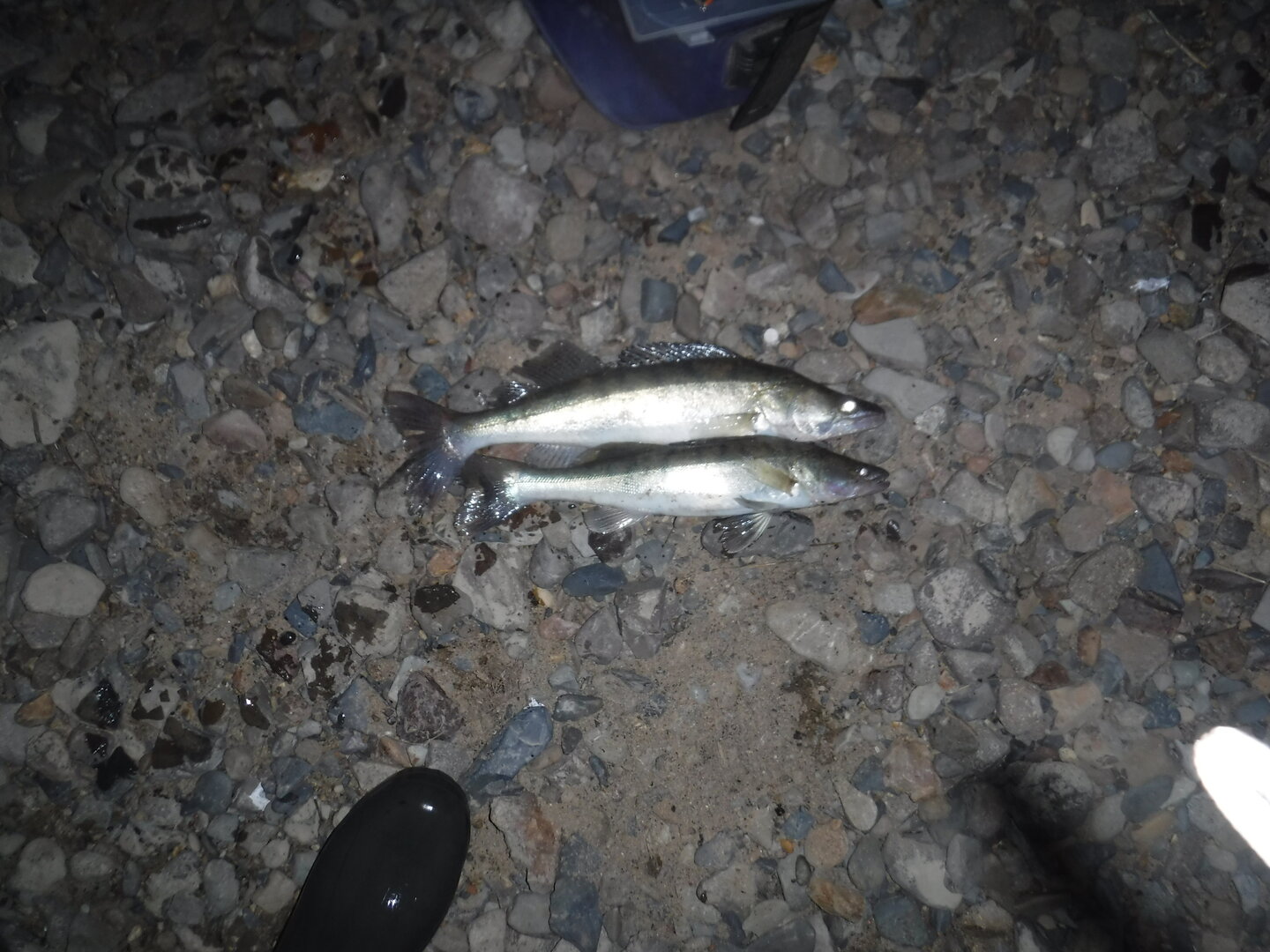DSCF3112.JPG
