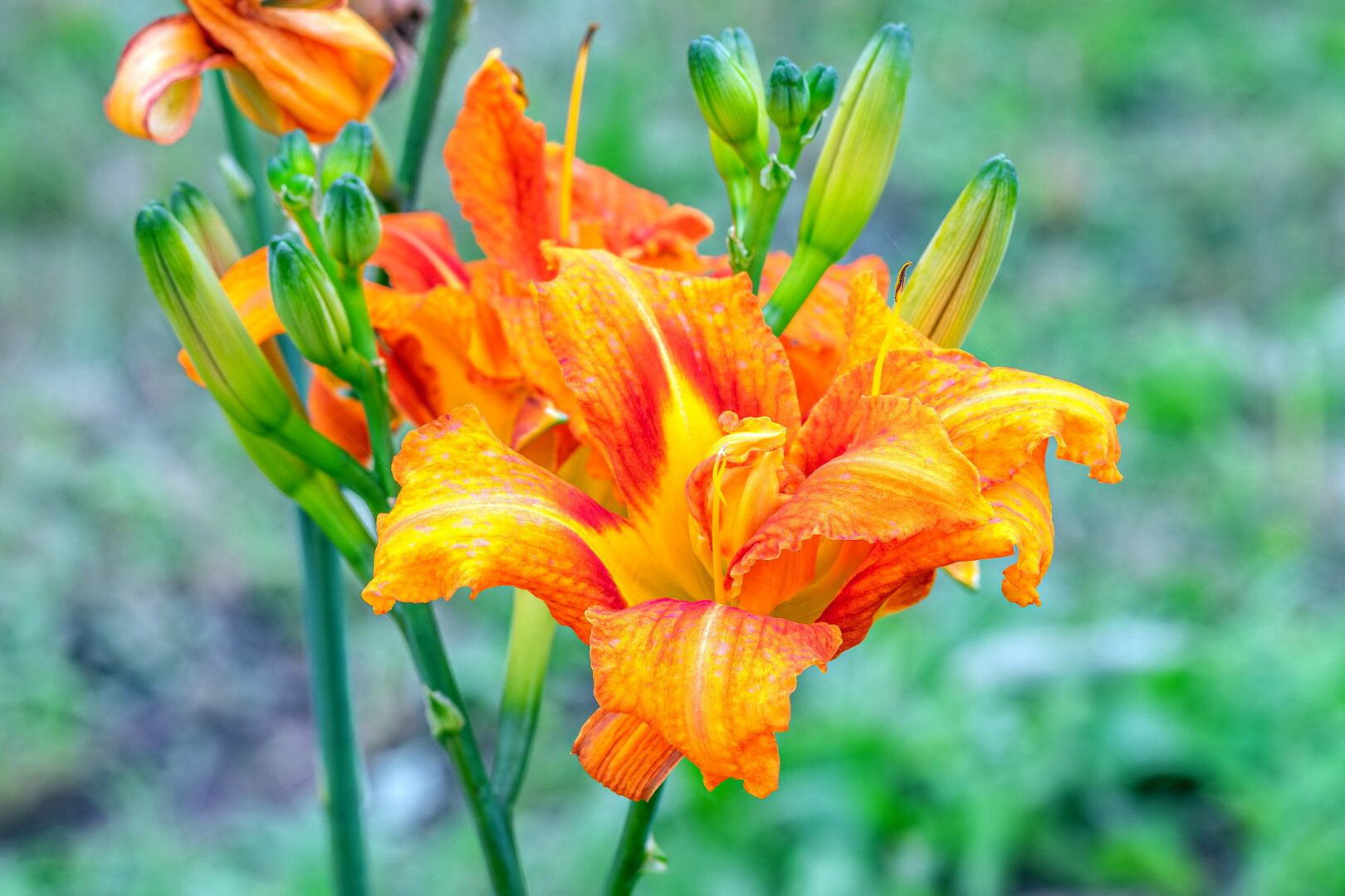 DSCF3113.jpg