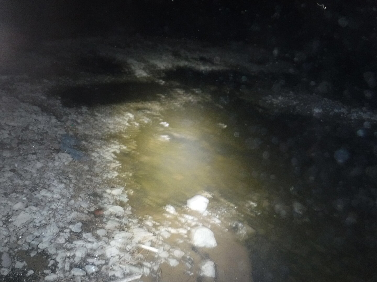 DSCF3116.JPG