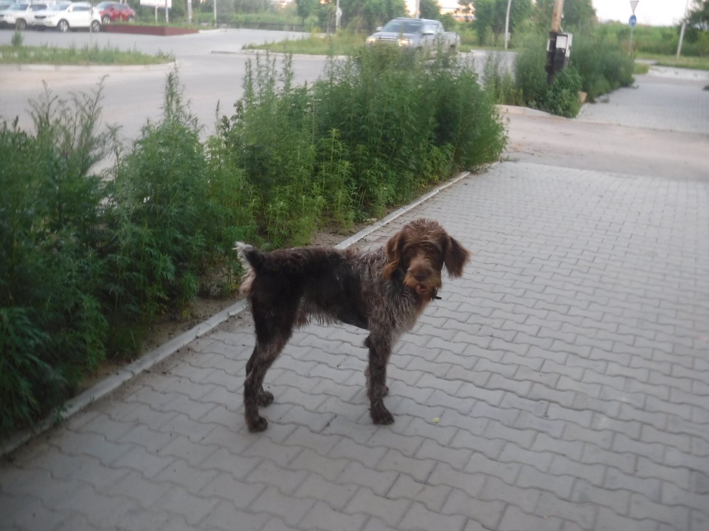 DSCF3118.JPG