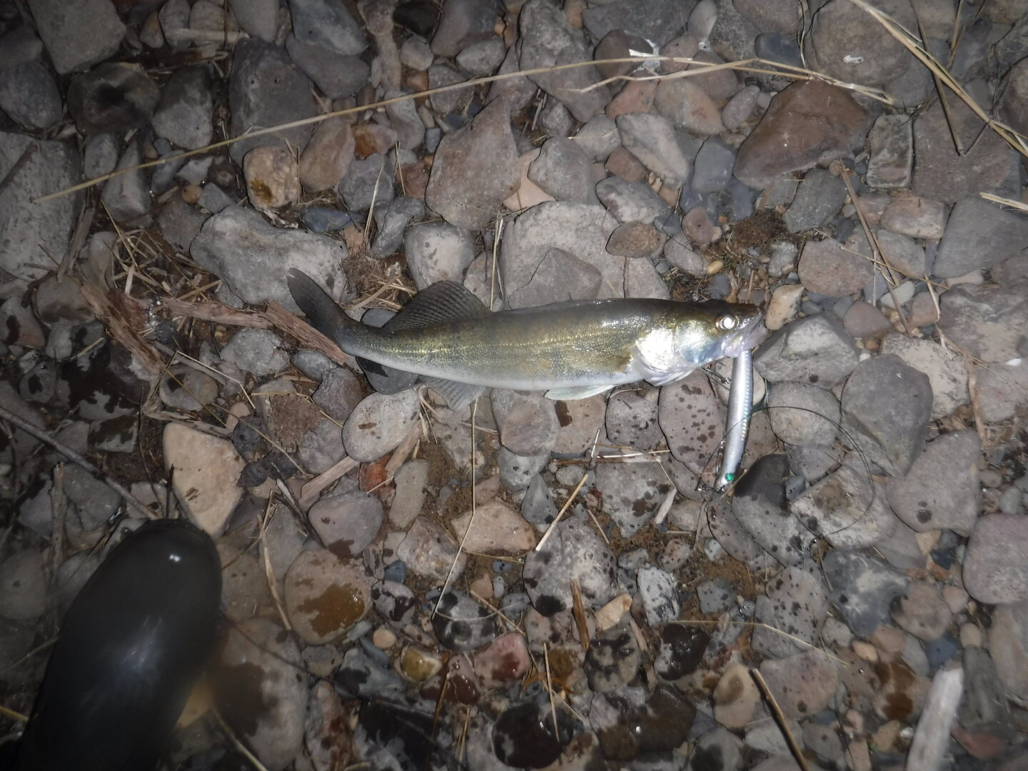 DSCF3124.JPG