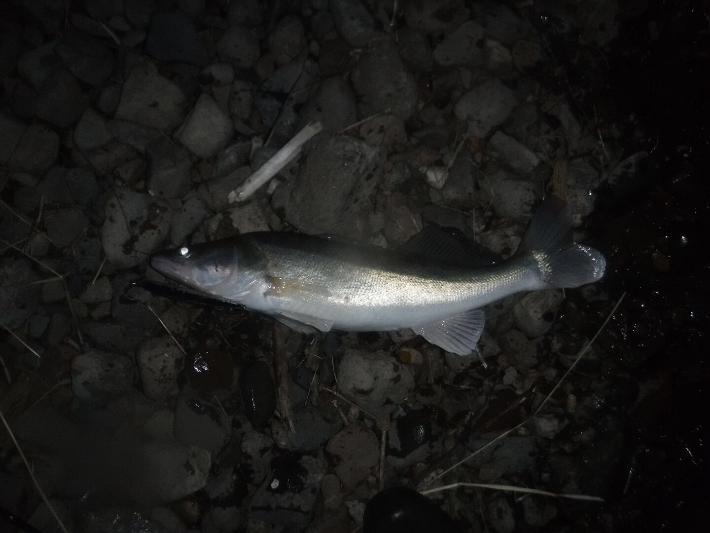DSCF3128.JPG