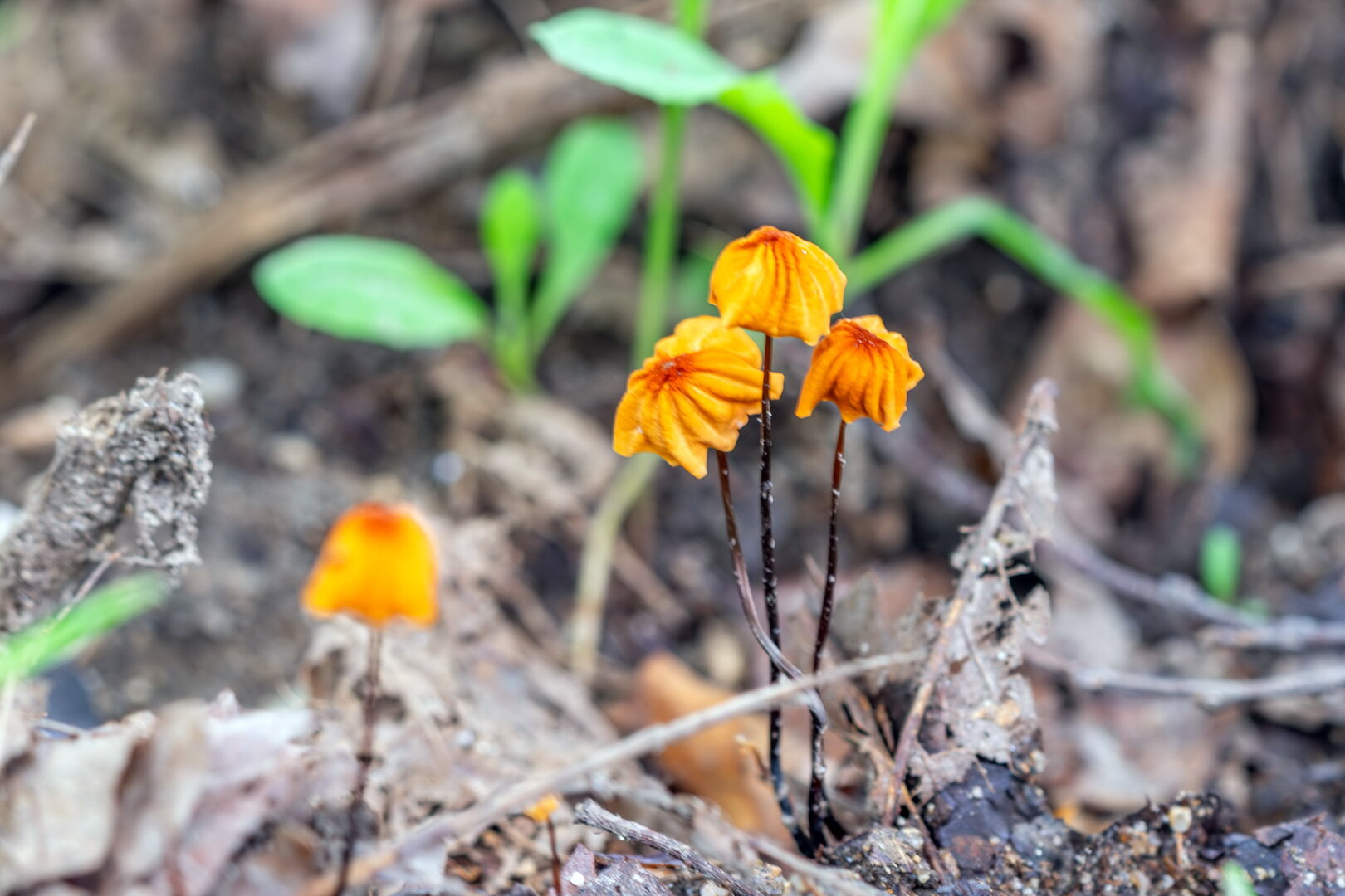 DSCF3128.jpg