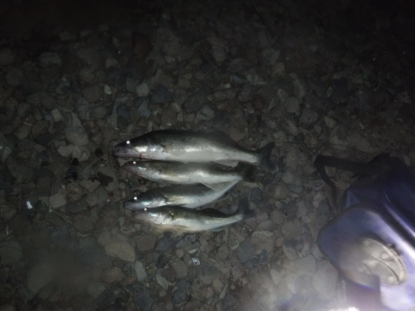 DSCF3129.JPG