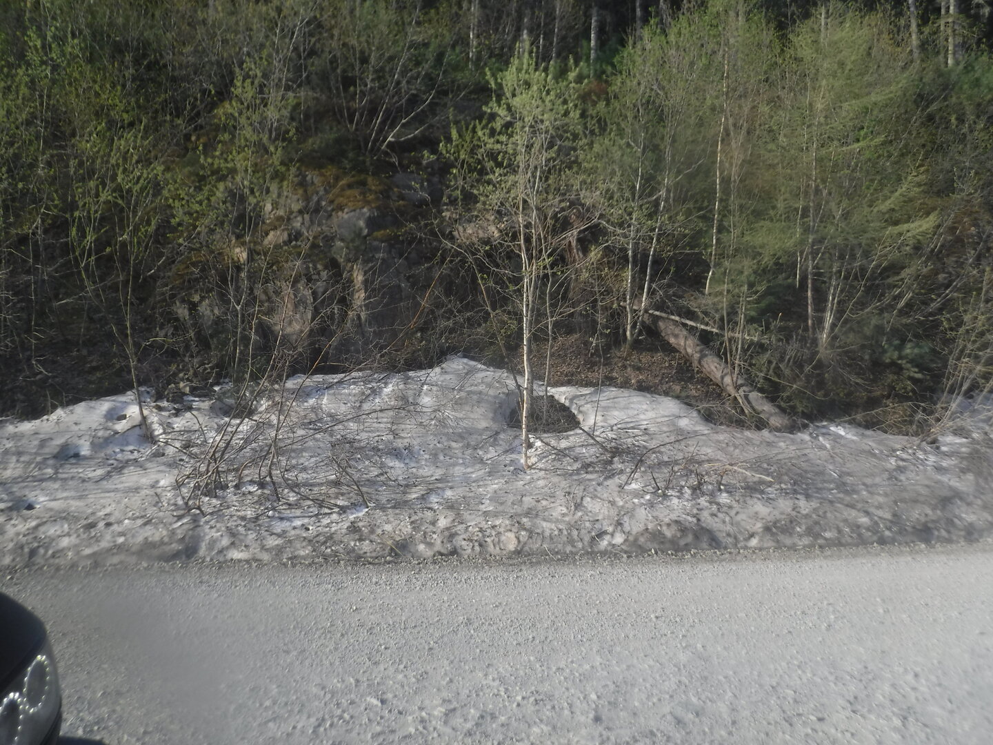 DSCF3134.JPG