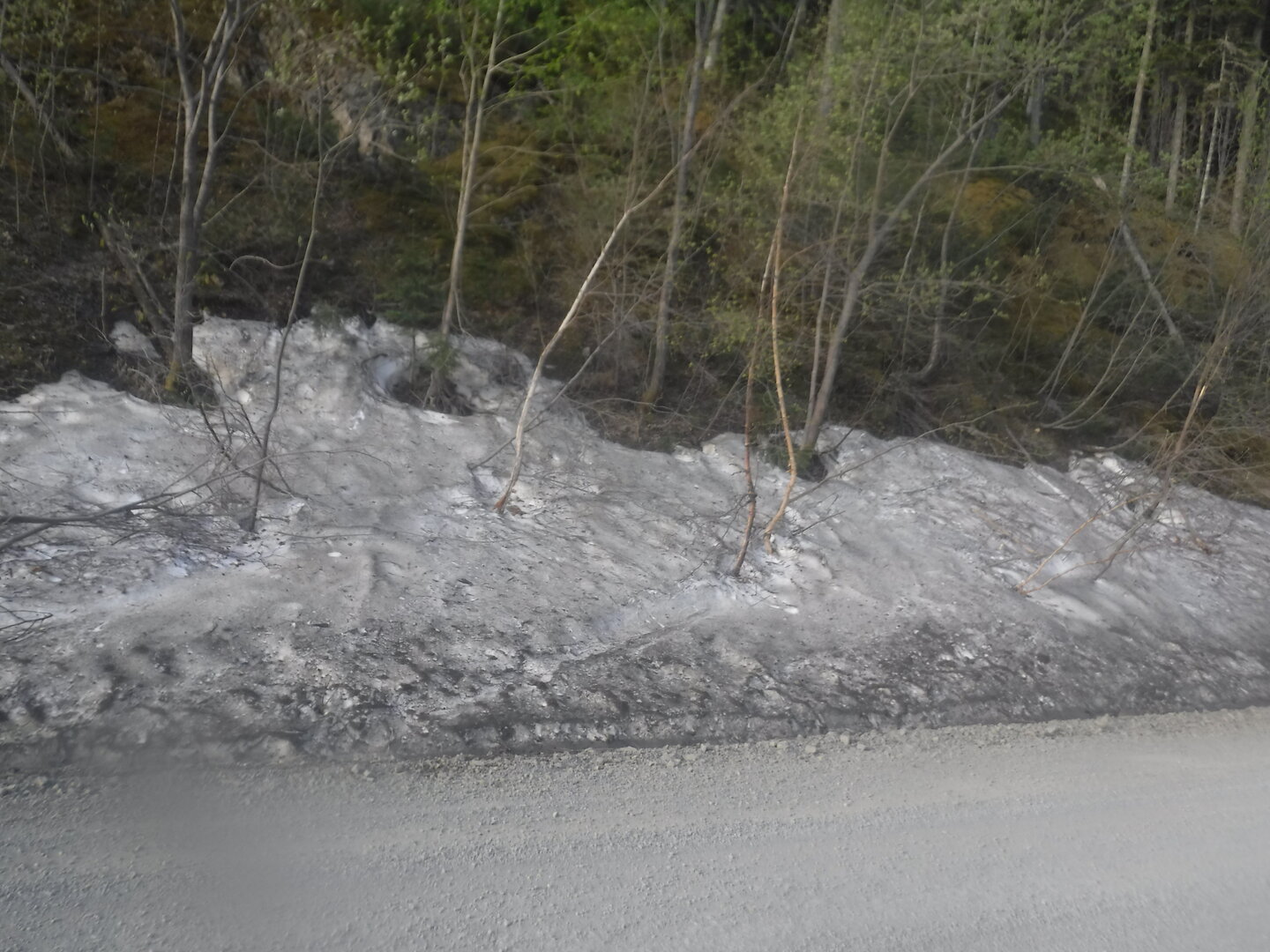 DSCF3135.JPG
