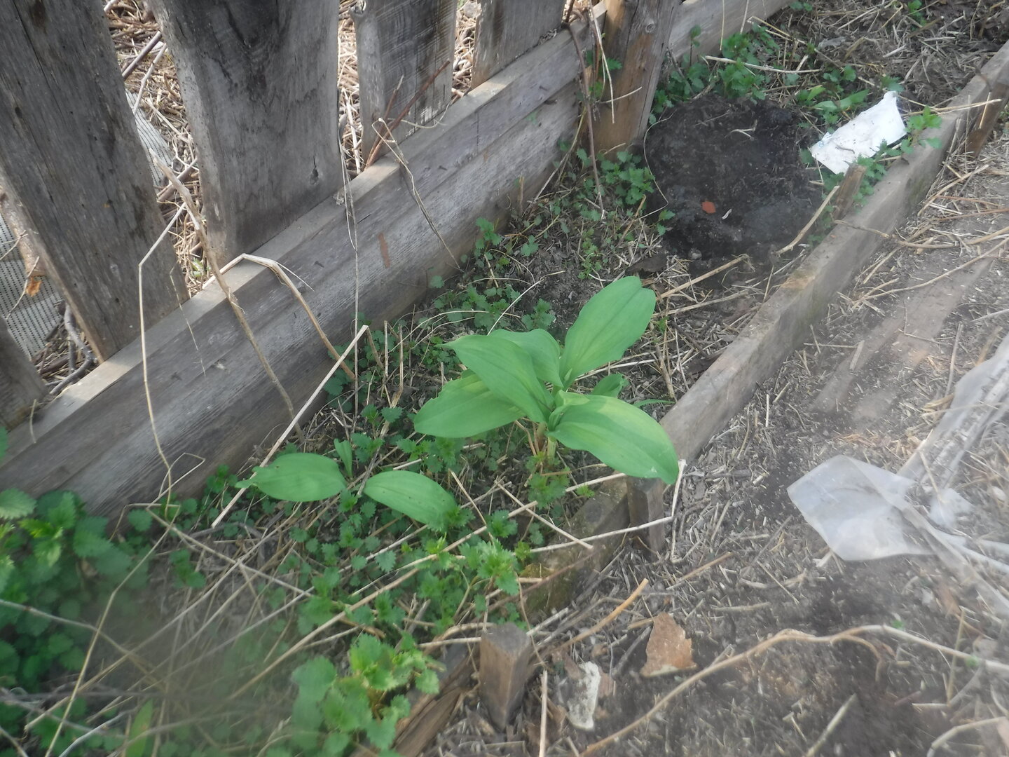 DSCF3139.JPG