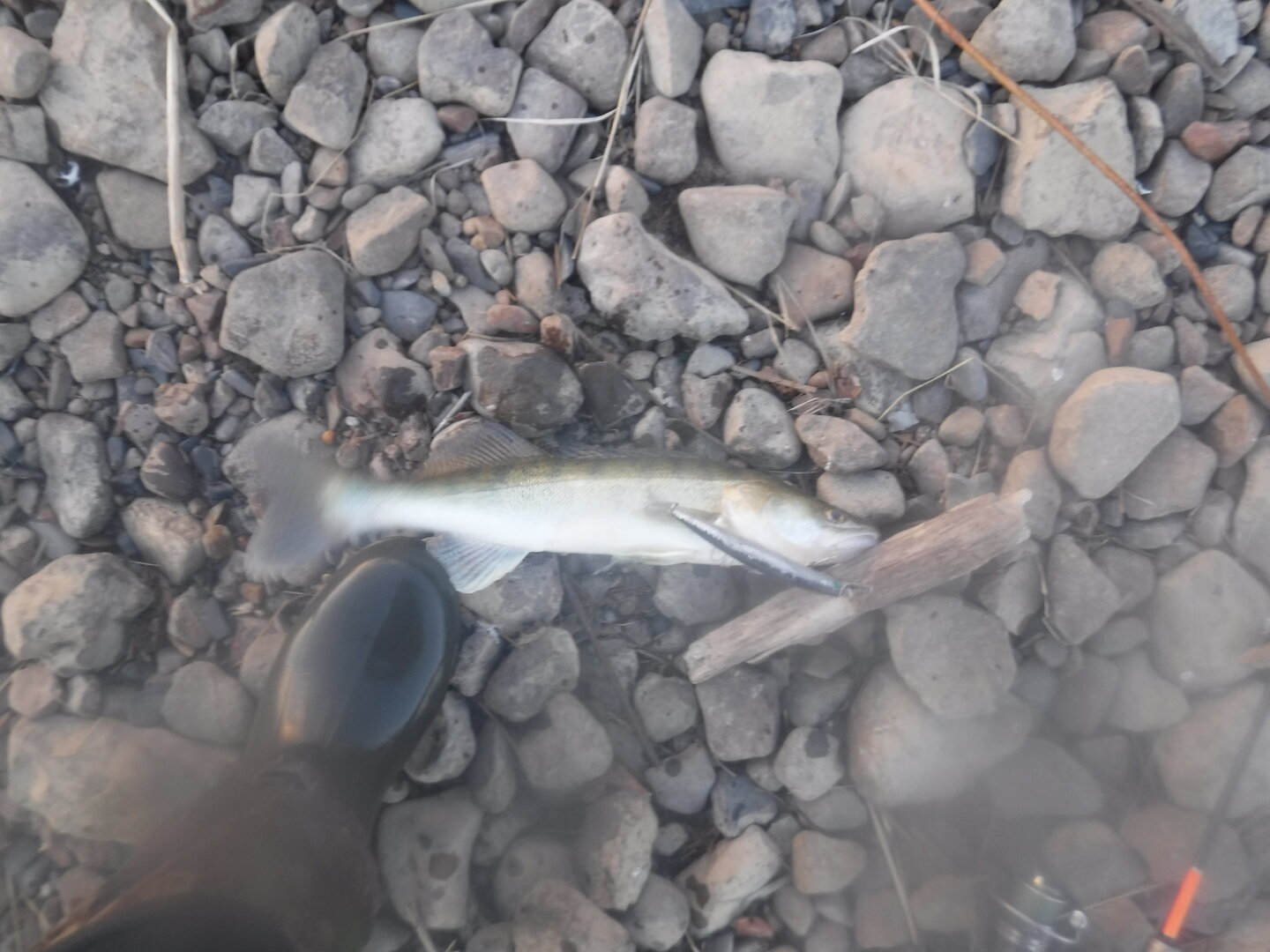 DSCF3141.JPG