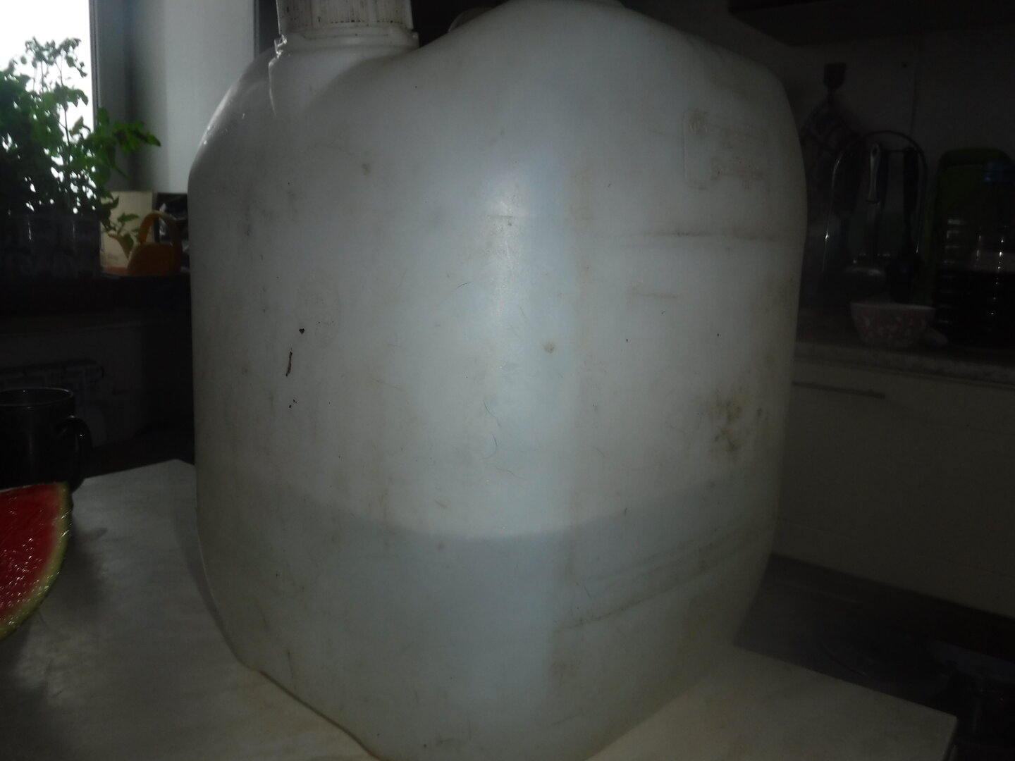 DSCF3151.JPG