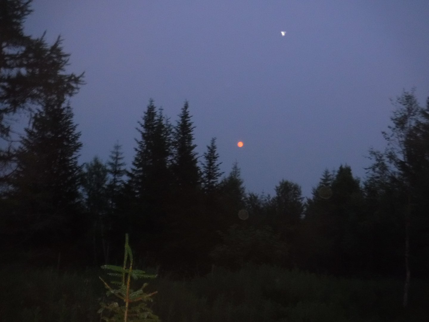 DSCF3152.JPG