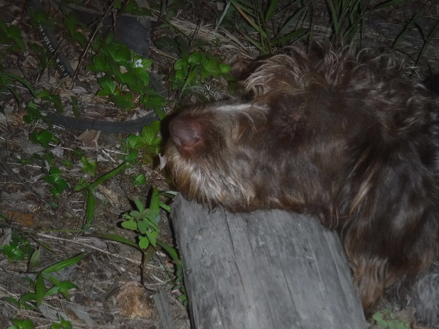 DSCF3161.JPG