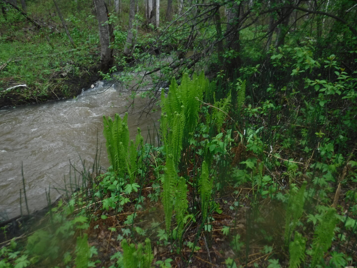 DSCF3165.JPG