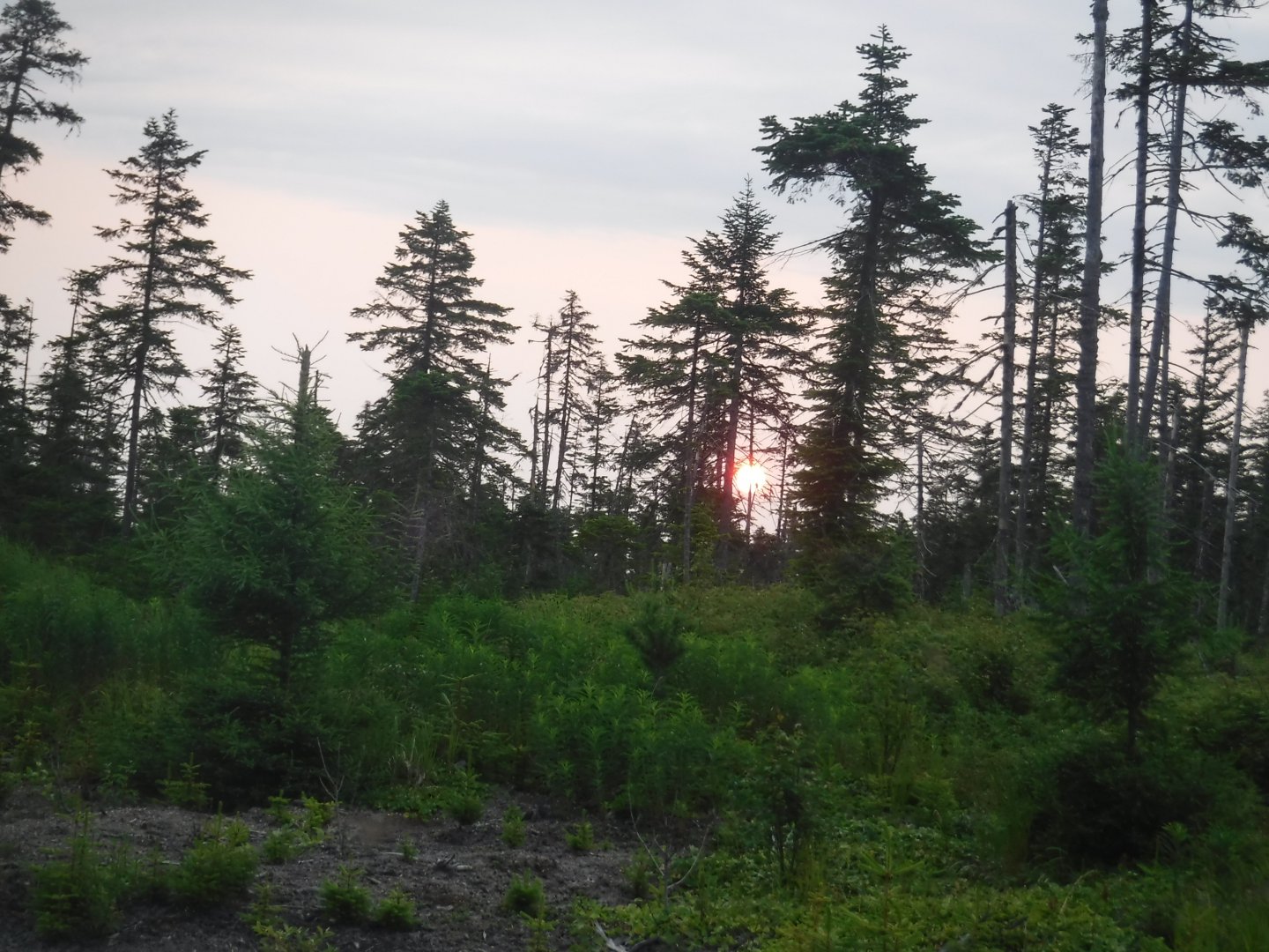 DSCF3166.JPG