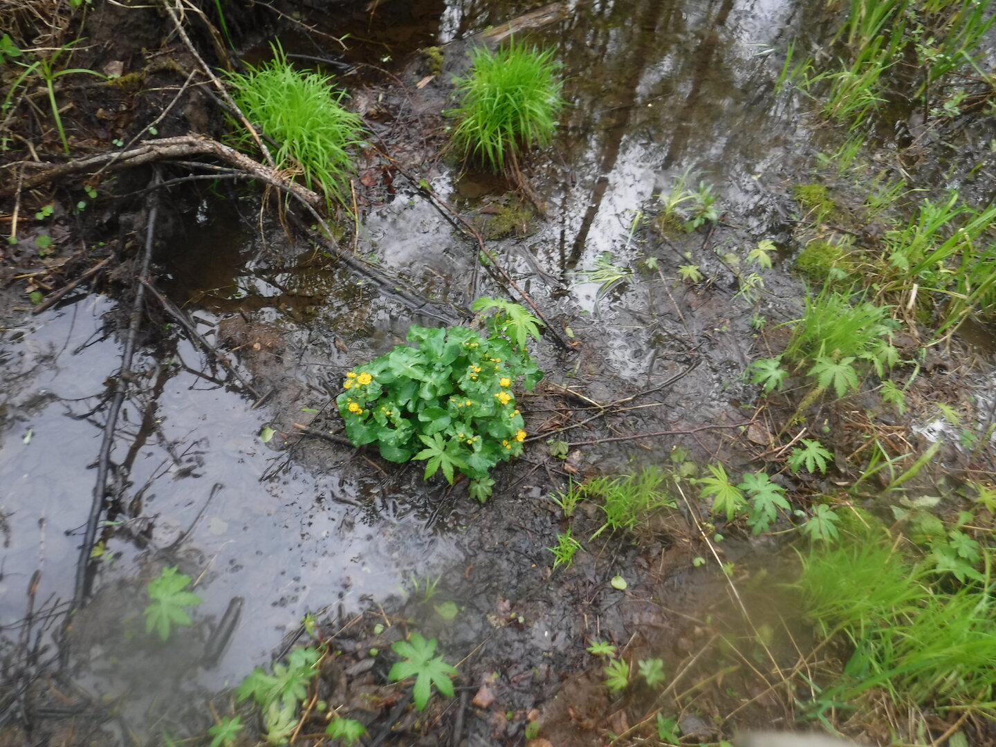 DSCF3166.JPG