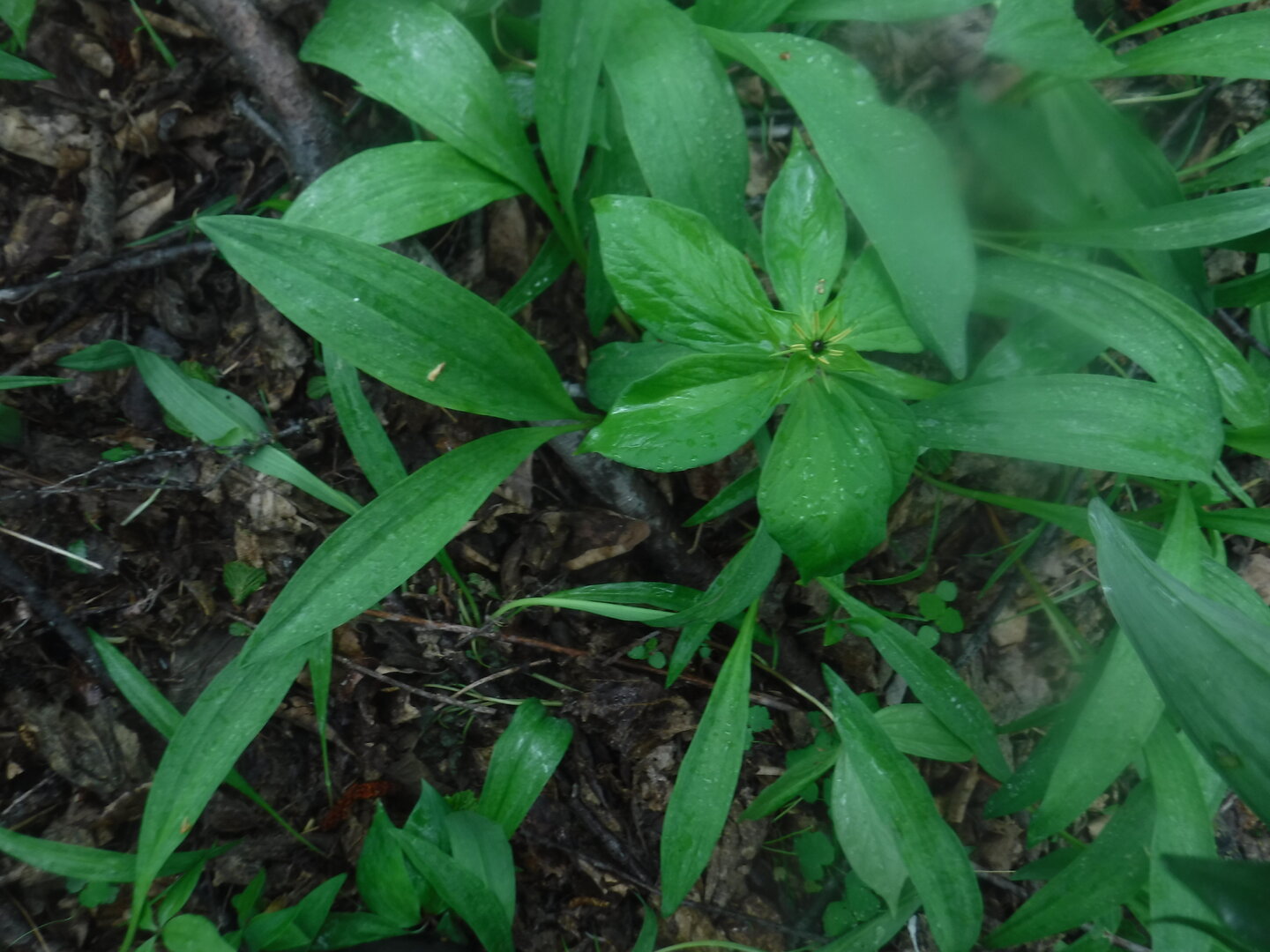 DSCF3167.JPG
