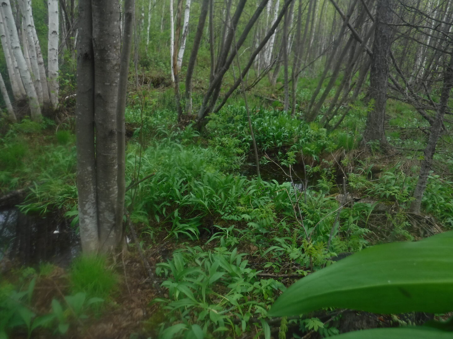 DSCF3169.JPG