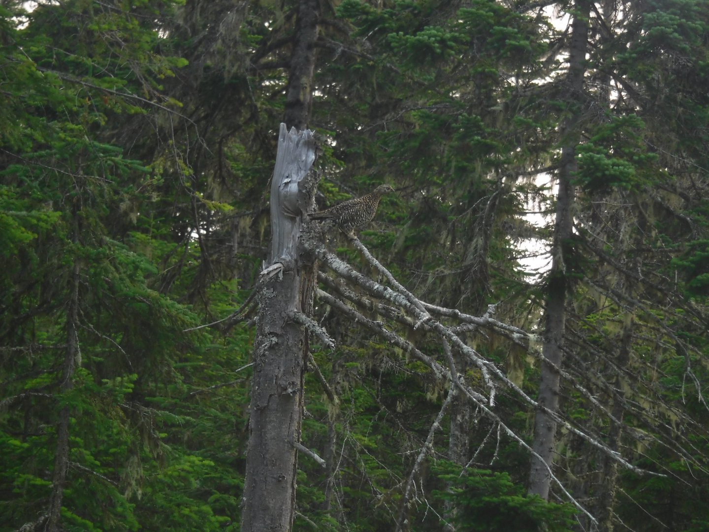 DSCF3170.JPG