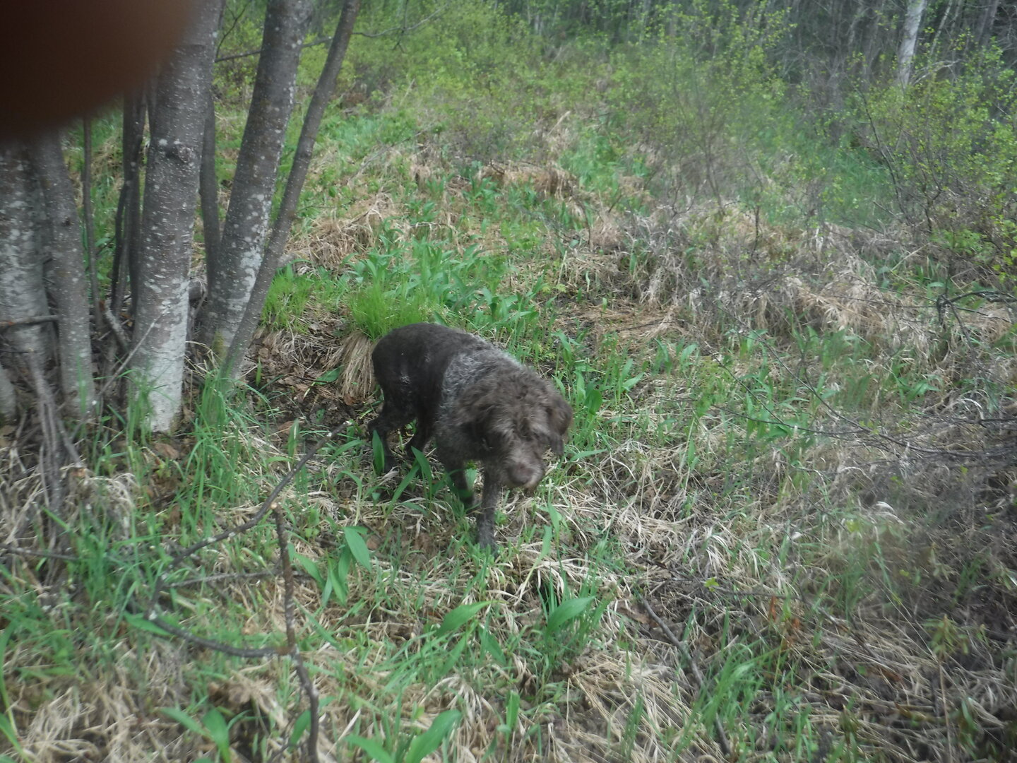 DSCF3170.JPG