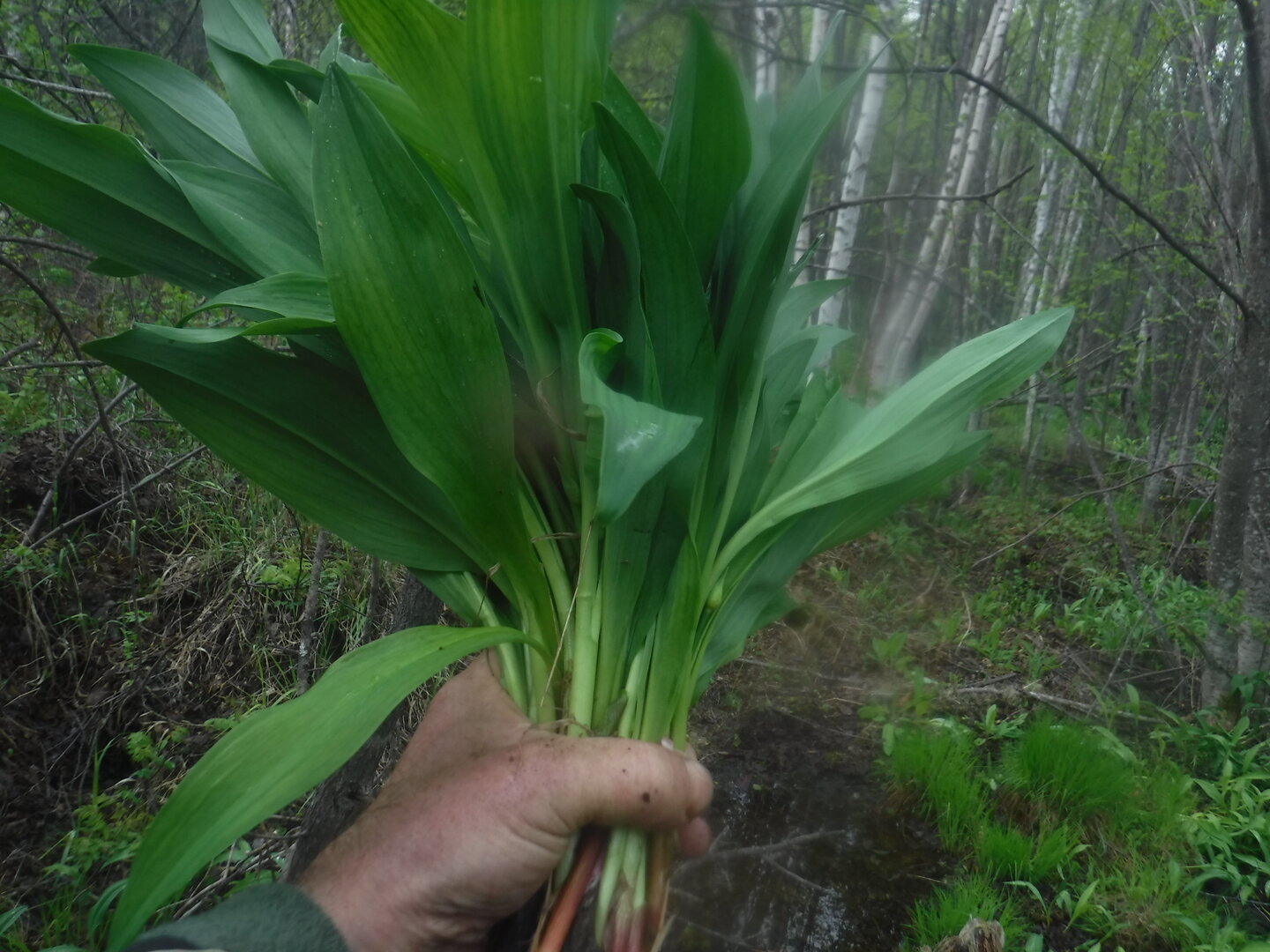 DSCF3171.JPG