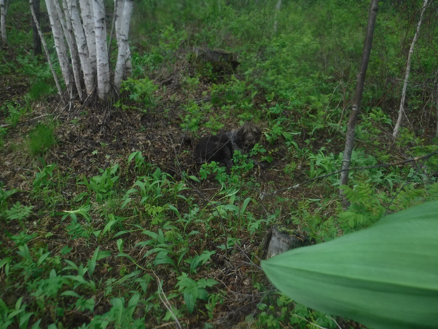 DSCF3172.JPG