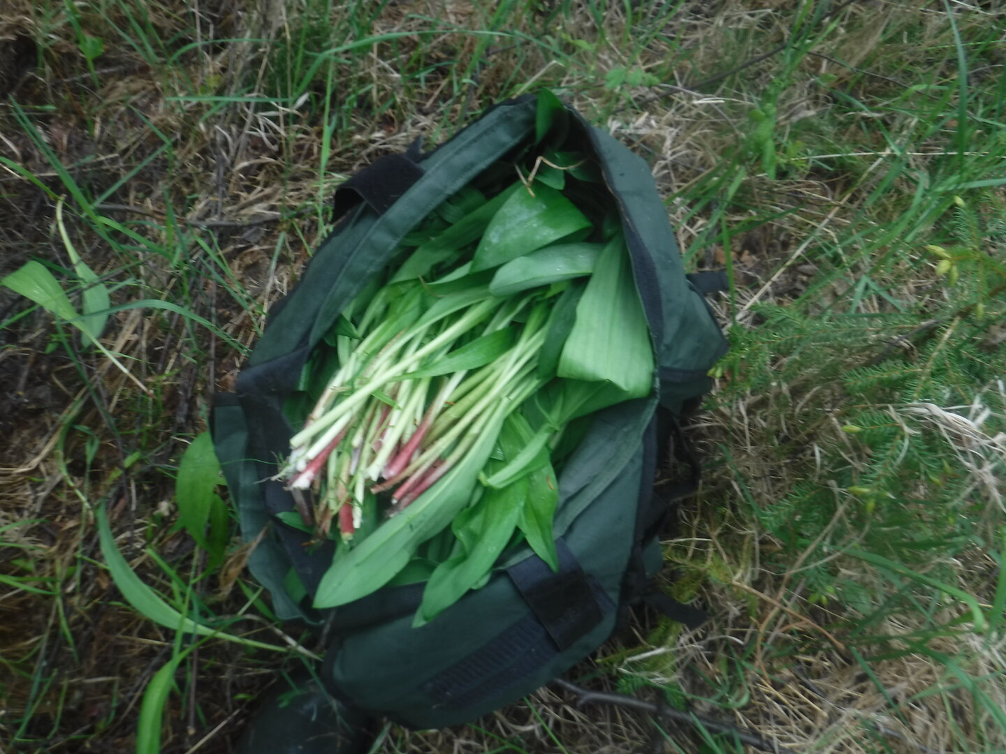 DSCF3175.JPG