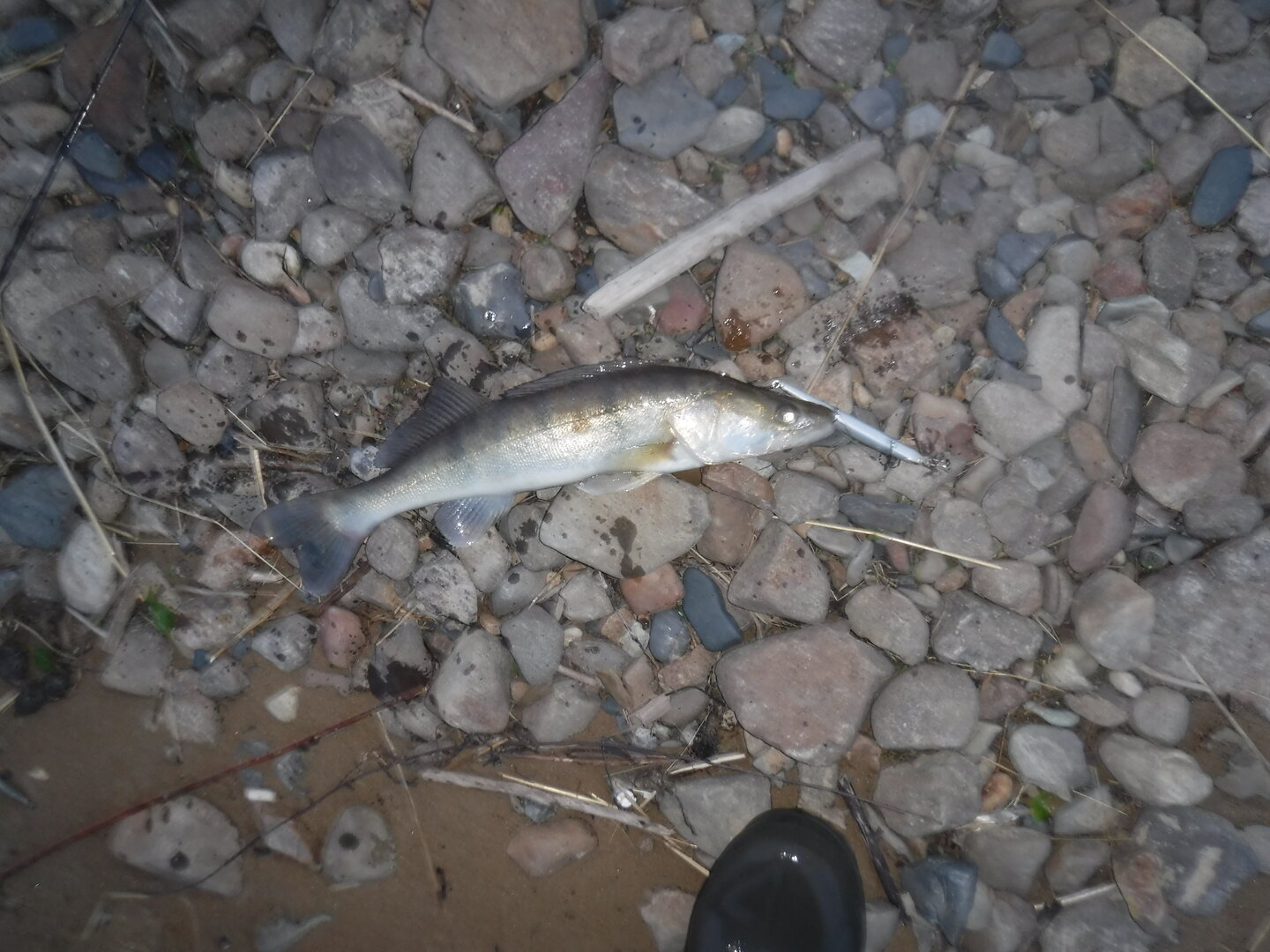 DSCF3181.JPG