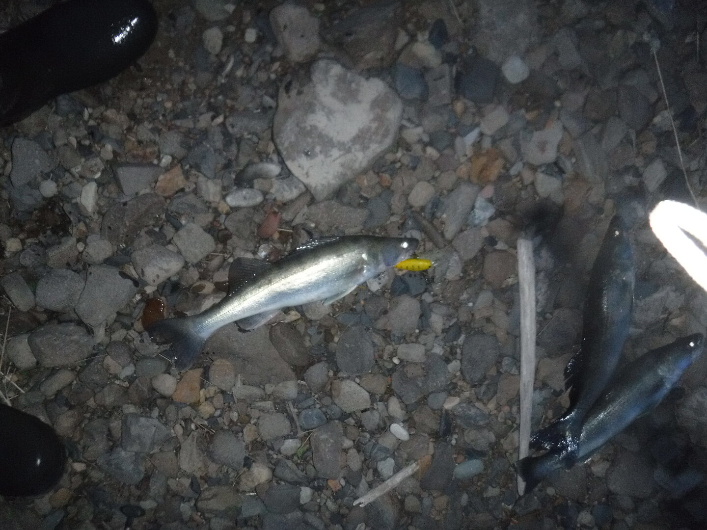 DSCF3182.JPG