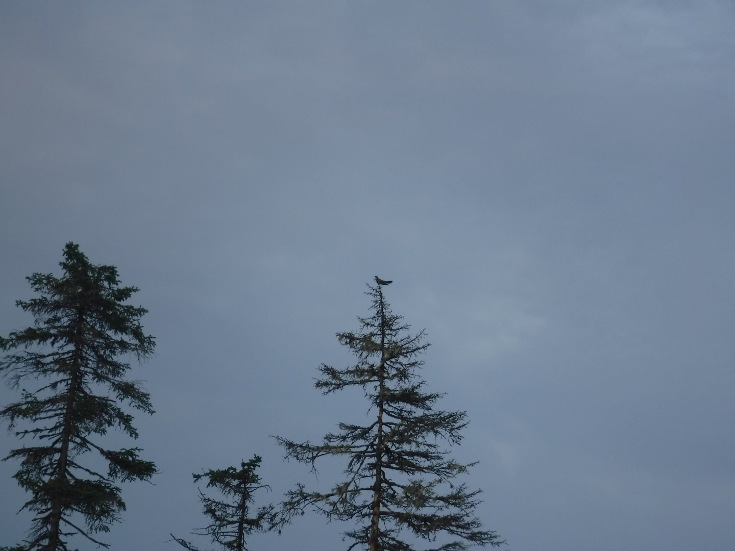 DSCF3197.JPG