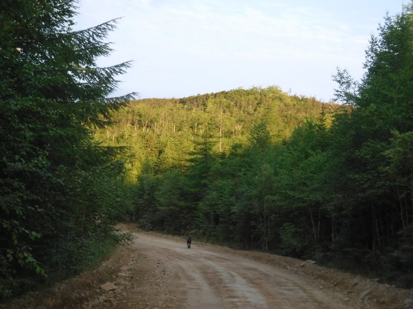 DSCF3203.JPG