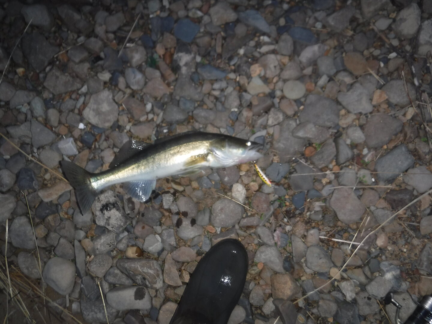 DSCF3206.JPG