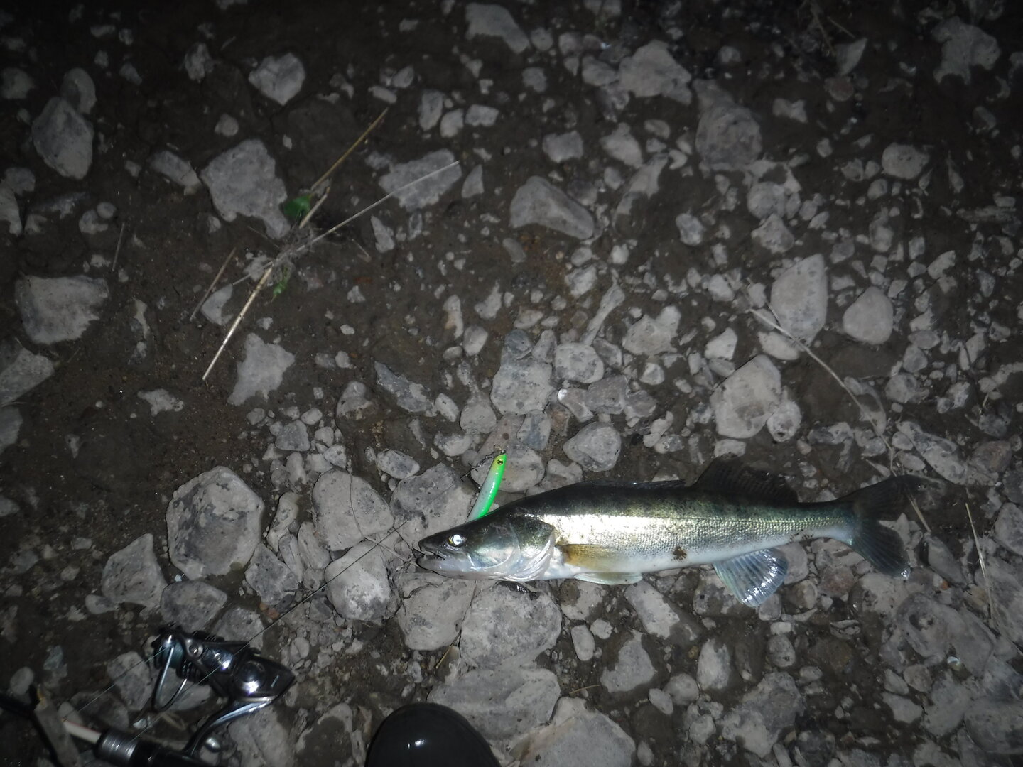 DSCF3211.JPG
