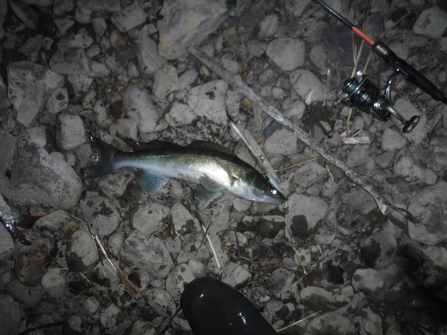 DSCF3215.JPG