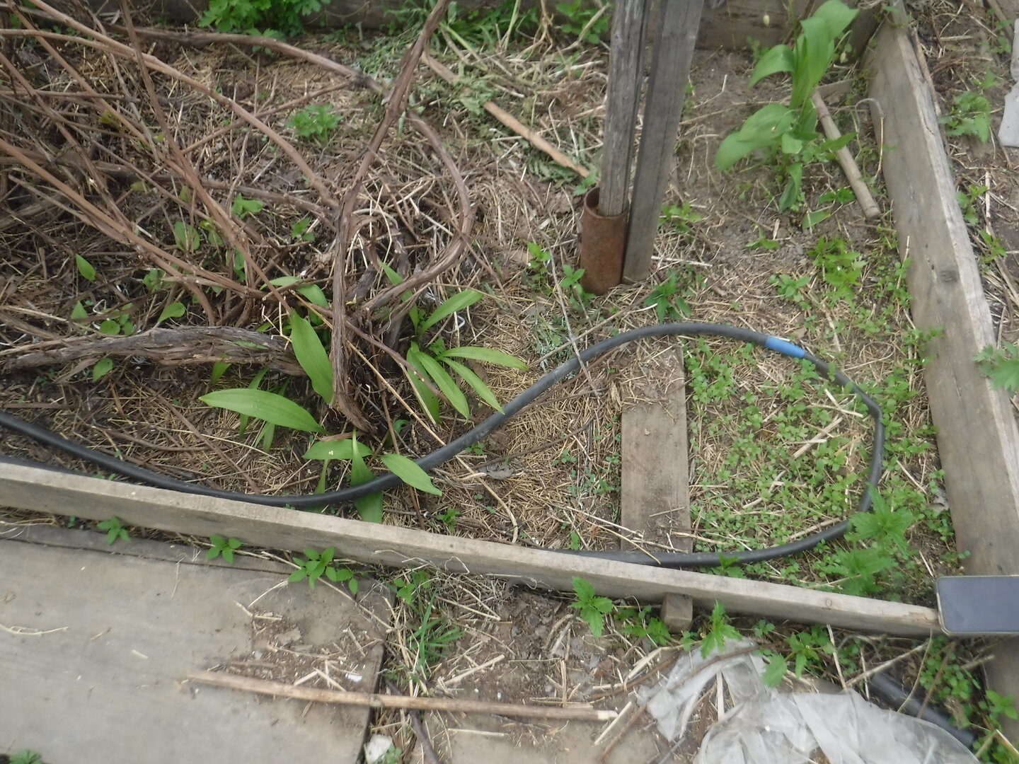 DSCF3220.JPG