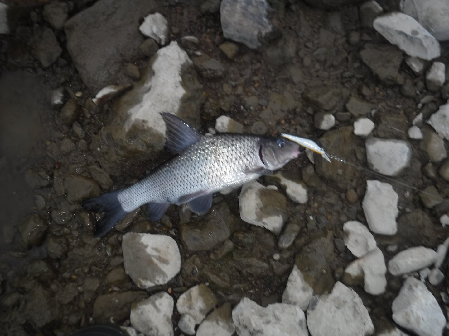 DSCF3224.JPG