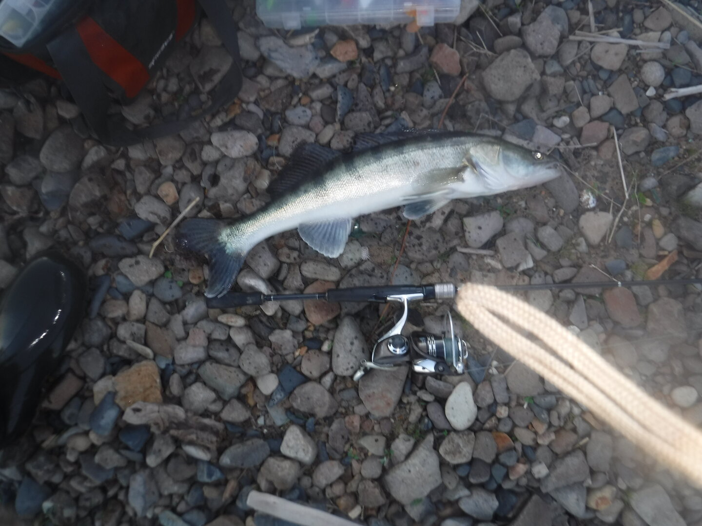 DSCF3241.JPG