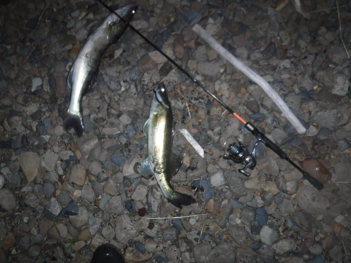 DSCF3244.JPG