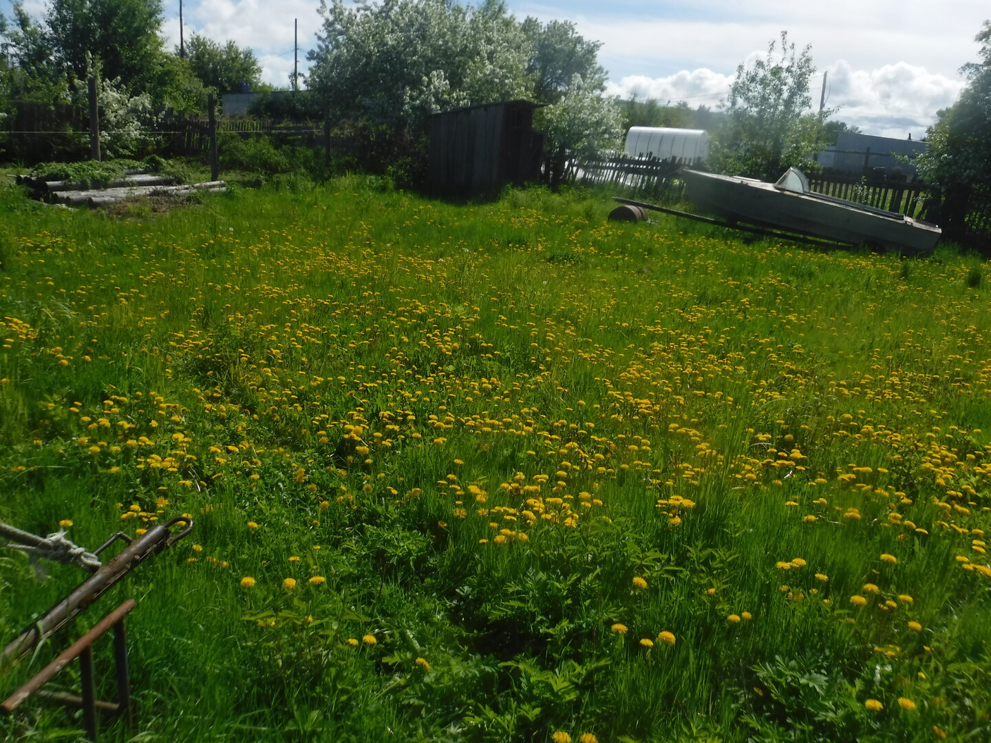 DSCF3245.JPG