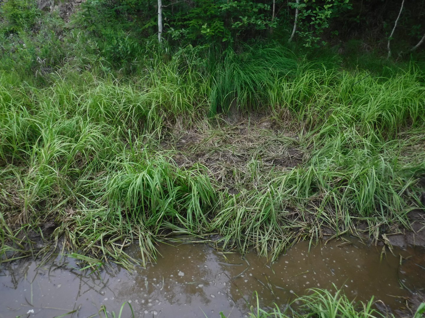 DSCF3247.JPG