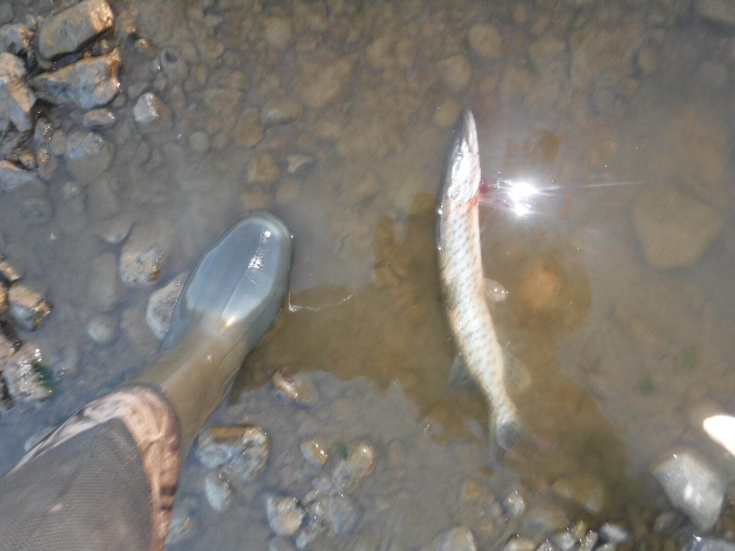 DSCF3247.JPG