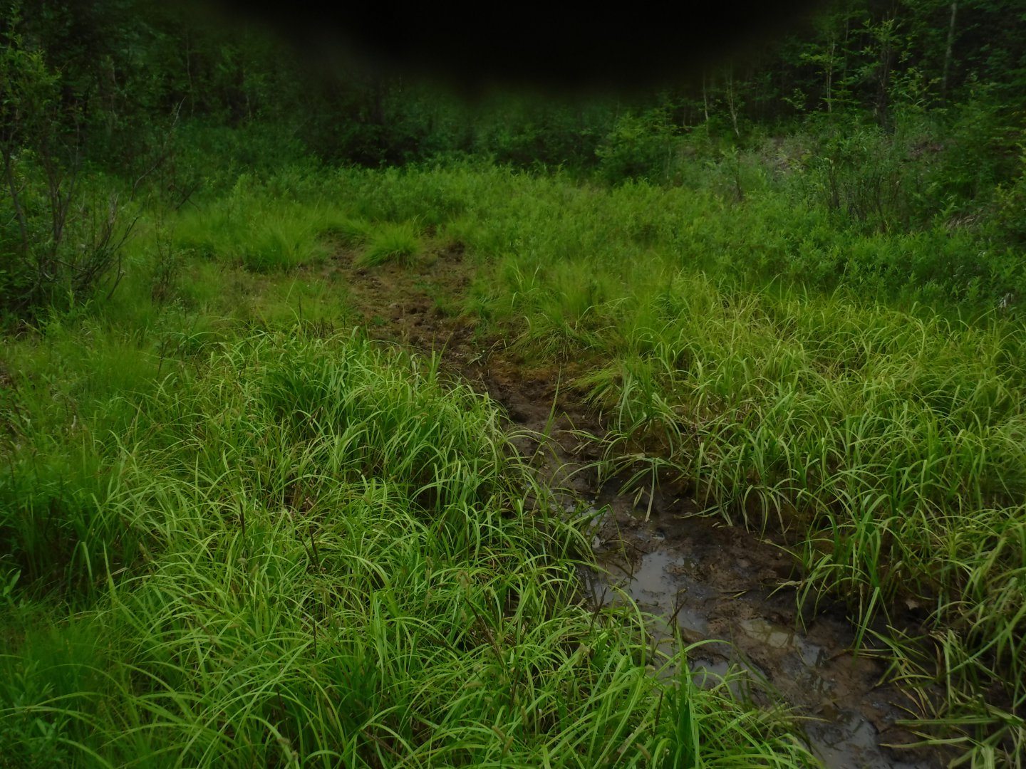 DSCF3248.JPG