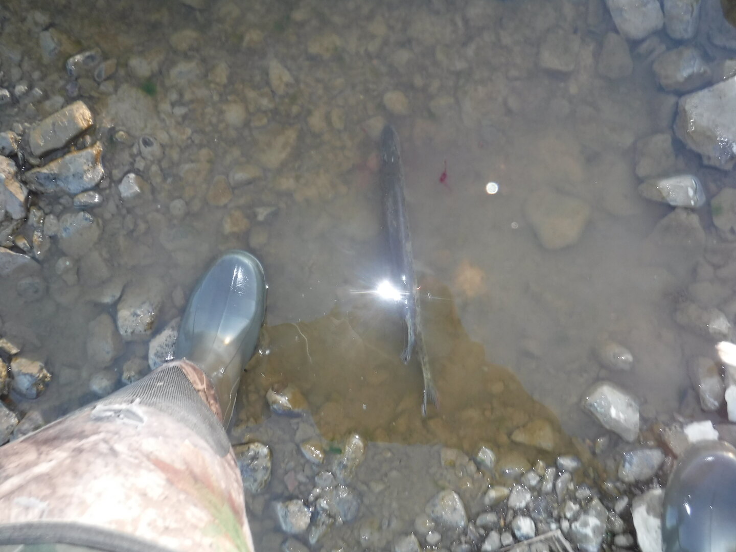 DSCF3248.JPG