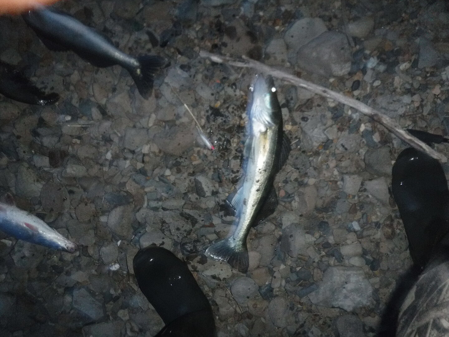 DSCF3253.JPG