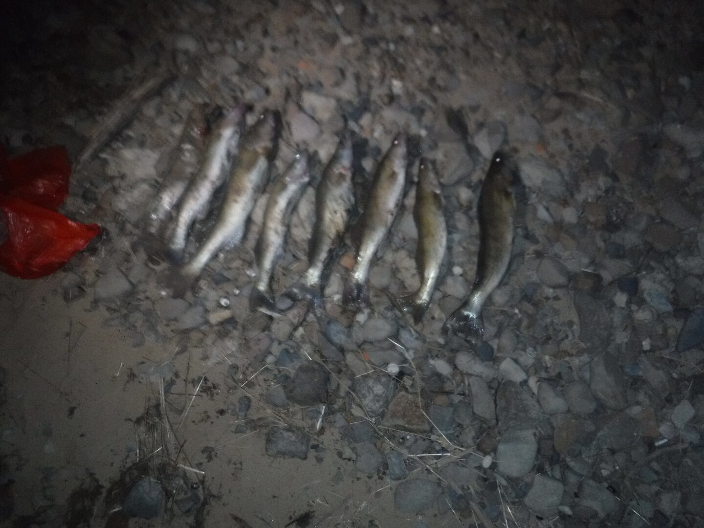 DSCF3254.JPG