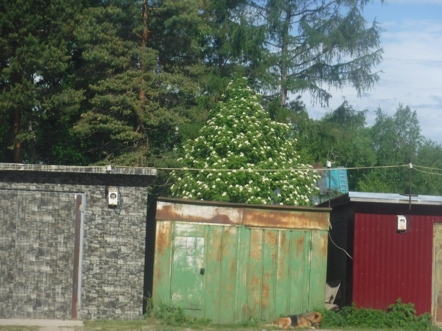 DSCF3256.JPG