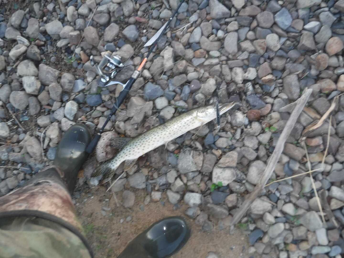 DSCF3258.JPG