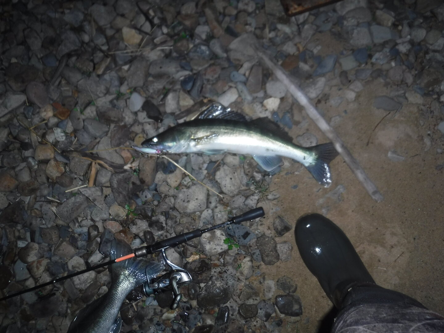 DSCF3263.JPG