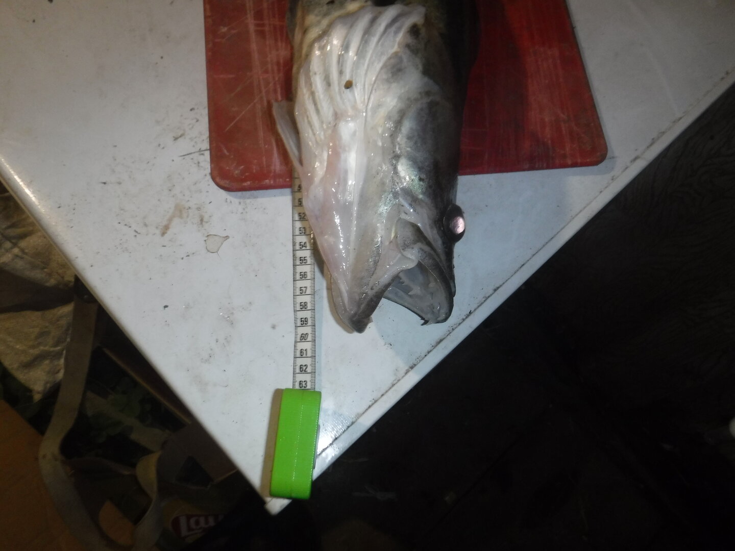 DSCF3265.JPG